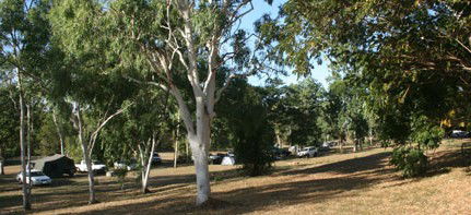 Mount Bundy Station - Maitland Accommodation 4