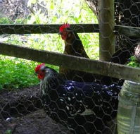 Norma's Place - Maitland Accommodation