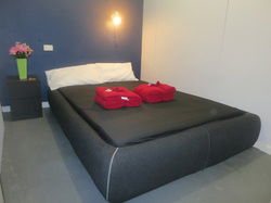 CBD Hostel And Backpackers - Maitland Accommodation 3