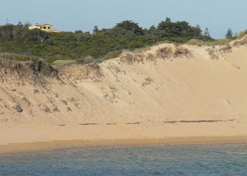 Ark Bed And Breakfast - Maitland Accommodation 1