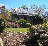 Camellia Cottage At Maple Hill - Maitland Accommodation