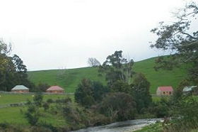  Maitland Accommodation