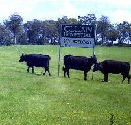 Cluan Homestead - The Managers Residence - Maitland Accommodation
