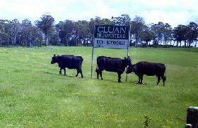 Cluan Homestead - The Managers Residence - Maitland Accommodation 0