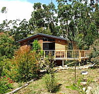 Southern Forest Accommodation - Maitland Accommodation