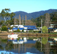 Prosser Holiday Units - Maitland Accommodation