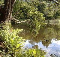 Weldborough Camping Ground - Maitland Accommodation