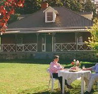 Hartzview Vineyard Homestead - Maitland Accommodation