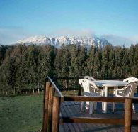 White Hawk Accommodation - Maitland Accommodation
