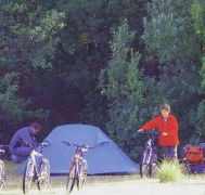 Maria Island Camping Ground - Maitland Accommodation