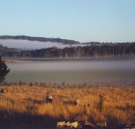 Fonthill - Maitland Accommodation