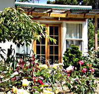 Thelma Retreat - Maitland Accommodation