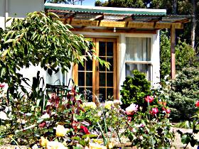 Thelma Retreat - Maitland Accommodation 0