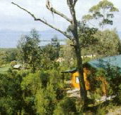 Partridge Farm - Maitland Accommodation