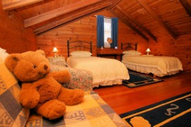 Rosie's Cottage - Maitland Accommodation 3