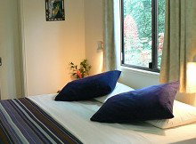 Daintree Valley Haven - Maitland Accommodation 1