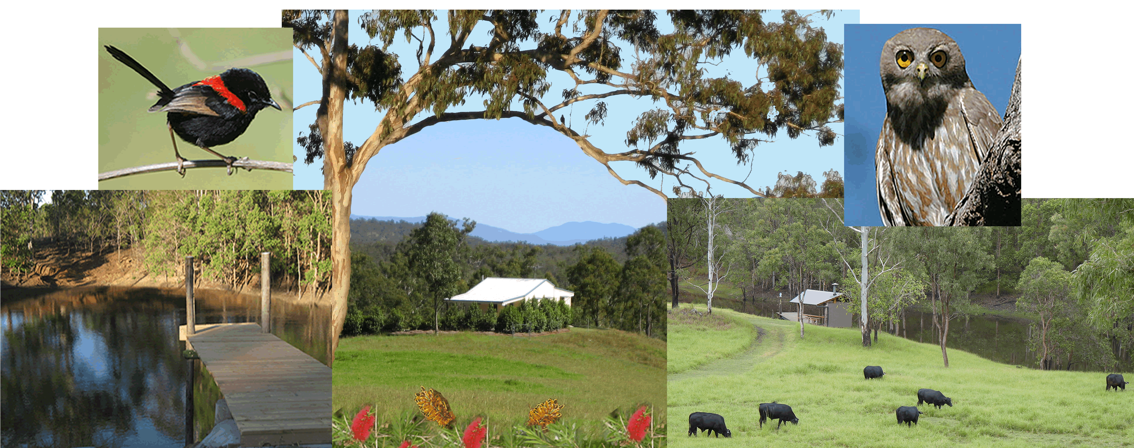 Kairi QLD Maitland Accommodation