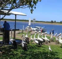 Mountain View Caravan and Mobile Home Village - Maitland Accommodation