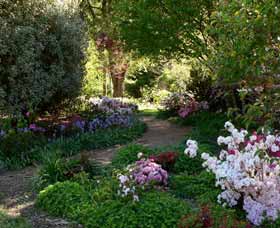 Maitland Accommodation