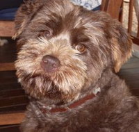 Lagoon Pocket Bed and Breakfast - Maitland Accommodation