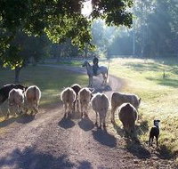 Brooloo Park - Maitland Accommodation