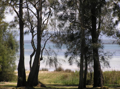 A Paradise Bungalow Waterfront - Maitland Accommodation 5