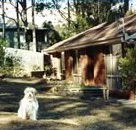 Bernadette Cottage - Maitland Accommodation
