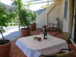 A View Of Mt Warning Bed And Breakfast - Maitland Accommodation 2