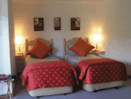 A View Of Mt Warning Bed And Breakfast - Maitland Accommodation 3