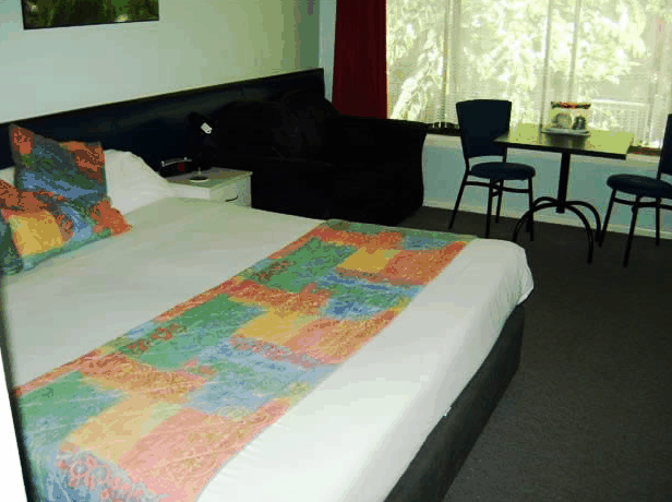 Poinciana Motel - Maitland Accommodation