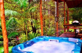 A Waterfall Hideout-Rainforest Cabin For Couples - Maitland Accommodation 5