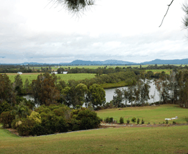 Bimbimbi Riverside Caravan Park - Maitland Accommodation