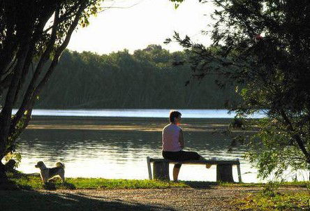 Fishing Haven Caravan Park - Maitland Accommodation 2