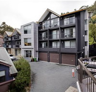Snowgoose Apartments - Maitland Accommodation