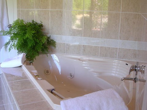 Mescals At Pampoolah Bed And Breakfast - Maitland Accommodation 1