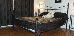 Artisans ...on The Hill Bed And Breakfast - Maitland Accommodation 2