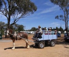 Ariah Park Camping Ground - Maitland Accommodation 1