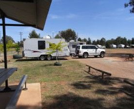 Ariah Park Camping Ground - Maitland Accommodation 2