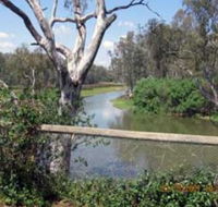 The Shanty Waterside Cottages - Maitland Accommodation