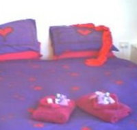 Aloomba Lavender - Accommodation - Maitland Accommodation