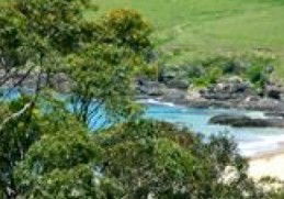 Aqua Bamboo - Maitland Accommodation 0