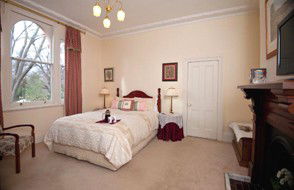 Camelia Cottage - Maitland Accommodation 0