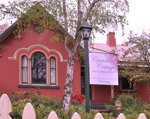 Camelia Cottage - Maitland Accommodation 3