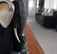 Alexandra Apartments - Maitland Accommodation