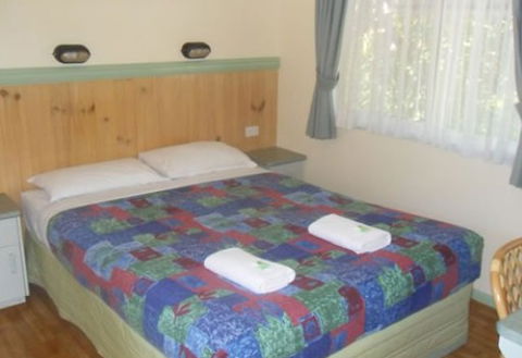 Windmill Caravan Park - Maitland Accommodation 2