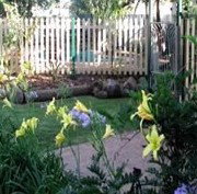 Flora Alba Cottage And Jacaranda On Pallas - Maitland Accommodation 2