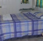 Tiaro Tourist Stopover - Maitland Accommodation