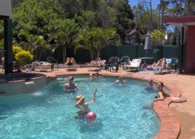 Fraser Roving Backpacker Resort - Maitland Accommodation 2