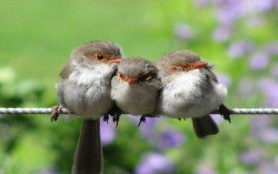 Eagles Rest Retreat - Maitland Accommodation 3