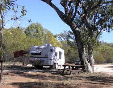 Myall Park Botanic Garden - Maitland Accommodation 1